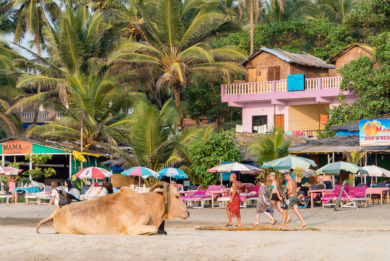 India 2014 - Goa 028 - 5.jpg